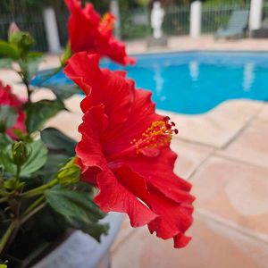 Les Jardins Du Patriarche Hotel